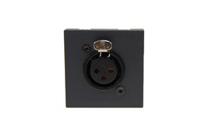 45x45 Module with XLR (D-Form Connector)